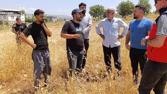 Diyarbakırlı çiftçilere yüzde 75 hibe ile mercimek tohumu desteği fırsatı