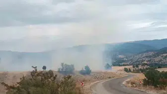 Bolu'da arazi yangını ormanlık alana ulaşmadan söndürüldü