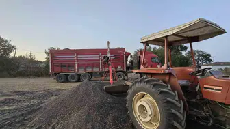 Yağlık ayçiçeği alım fiyatı ton başına 34 bin lira olarak belirlendi