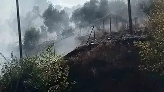 Milas-Söke karayolu üzerindeki otluk yangını söndürüldü