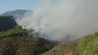Adana'da evlerin yanında çıkan orman yangınına müdahale devam ediyor