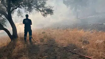 Bodrum-Milas karayolunda ot yangını kontrol altına alındı