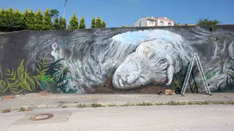 Düzce'de grafiti sanatıyla tarihe saygı duruşu