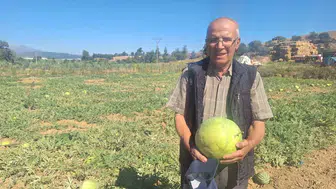 Manisalı çiftçi ata tohumu karpuz geleneğini sürdürüyor