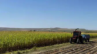 Akyaka'da yem bitkileri hasadı başladı: Kaymakam Demirtaş'tan çiftçilere destek ziyareti