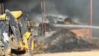 Eskişehir'deki çiftlik yangınında hayvanlar telef oldu