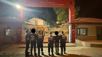Isparta'da büyükbaş hayvan hırsızlığına 2 kişi tutuklandı