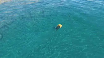 Kemer'de deniz ve sahilde eş zamanlı temizlik etkinliği