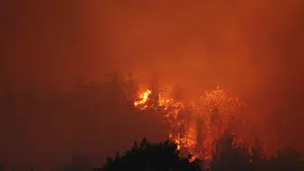 Kozan'daki orman yangını mahalleyi tehdit etti, vatandaşlar yangınla mücadele etti