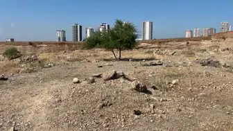 Adana'da genç bir şahıs boş arazide yaşamını yitirdi