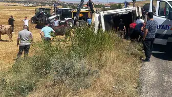 Boztepe'de hayvan taşıyan tır devrildi: Sürücünün durumu iyi