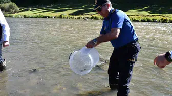 Ardahan Kura Nehri'ne 300 bin sazan yavrusu bırakıldı