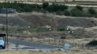 Gercüş'te sabahın sevimliliği: Çiftçiler tilkilerin keyifli anlarına tanıklık etti