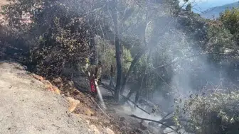Alanya'daki çalılık yangını, hızlı müdahale ile söndürüldü