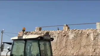 Kumru için traktörünü bekletiyor: Tarla işlerini erteledi