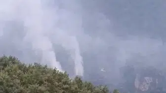 Hatay'daki orman yangınında müdahale sürüyor