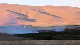 Van'daki çırak sazlığı'nda yangın paniği: Kuş cennetinde tehlike