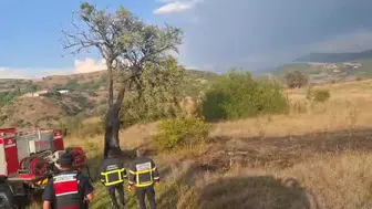 Bolu'nun Gerede ilçesinde yıldırım düşmesi yangına yol açtı
