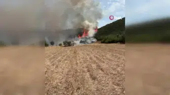 Sındırgı'daki orman yangınına müdahale devam ediyor