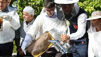 Bursa'da kırsal kalkınmaya katkı: Bal hasadı etkinliği düzenlendi