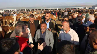 Kars hayvan pazarında sağlık ve güvenlik için denetimler titizlikle sürüyor