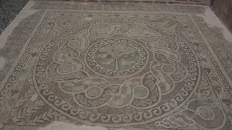 Amasya'nın sembolü misket elma, 6 bin 500 ton rekolte bekleniyor
