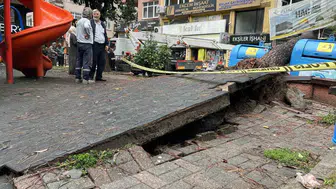 İzmit'te sabah saatlerinde parkta ağaç devrildi