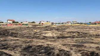 Ankara'da otluk alanda çıkan yangın hızlıca kontrol altına alındı