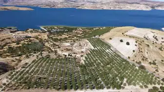 Tekstil mühendisi badem bahçesi kurarak tarımı dönüştürüyor