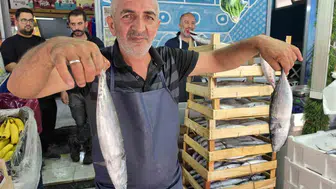Düzce'de balıkçıdan ilginç tanıtım: Palamut balıklarıyla horon oynadı