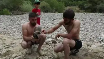 Ağaca çarpıp suya düşen kızıl şahin, arkadaşlar tarafından kurtarıldı