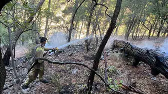 Dalaman'daki orman yangını sabah saatlerinde kontrol altına alındı