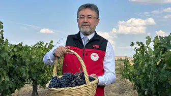 Bakan Yumaklı: Türkiye 3 milyon 850 bin ton üzüm üretimi gerçekleştirecek