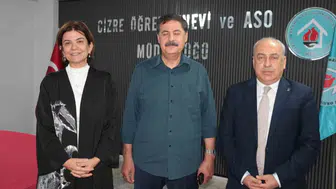 Cizre'de AK Parti buluşması: İnadına kardeşlik mesajı verildi