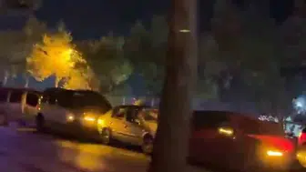 Bolu'da aniden yola fırlayan köpekler, zincirleme kazaya yol açtı