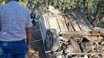Zeytin bahçesine uçan otomobilin sürücüsü yaralandı