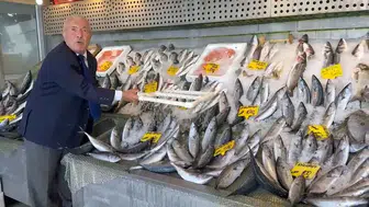 Balık sezonu coştu: Hamsi 200 lira, palamut 100 liradan satılıyor