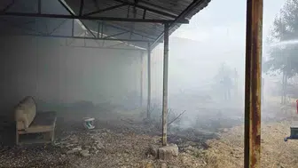 Elektrik hattından çıkan kıvılcım bahçeyi alevlere teslim etti