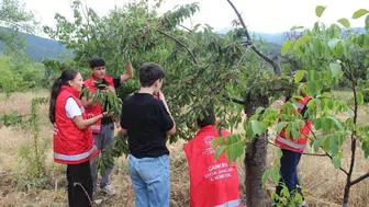 Bakan Göktaş, COP31 sürecinde çocuk haklarına dikkat çekti