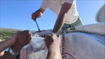 Bozkır'da su kaynakları için önemli adım: 122 bin yavru balık bırakıldı