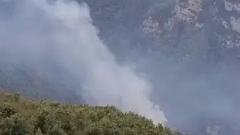 Hatay'daki orman yangınında kontrol çalışmaları devam ediyor