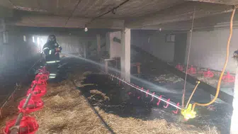 Bolu’da 10 bin kapasiteli kümeste yangın söndürüldü