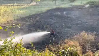 Kontrolsüz ateş yangına neden oldu: Sakarya'da 4 dönüm alan zarar gördü
