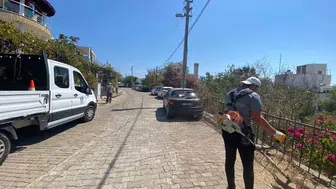 Bodrum'da çevre düzeni için ot temizliği çalışmaları devam ediyor