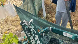 Bahçe tellerine zarar veren kimliği belirsiz kişi veya kişiler aranıyor