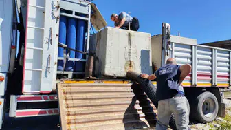Erzincan baraj göllerine 1.2 milyon sazan yavrusu bırakıldı