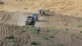 Adilcevaz'da buğday ekim sezonu başladı, çiftçiler umutlu