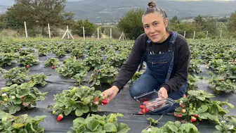 İstanbullu Birsen Yıldız, tekstil işini bırakıp tarıma yöneldi