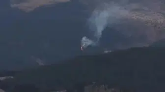 Bolu Kıbrıscık'ta ormanlık alanda yangın başlamış durumda