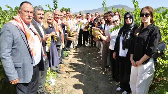 Menemen'de bağ bozumu etkinliği coşkuyla kutlandı